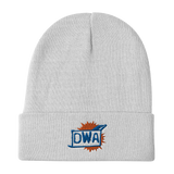 DWA Embroidered Beanie