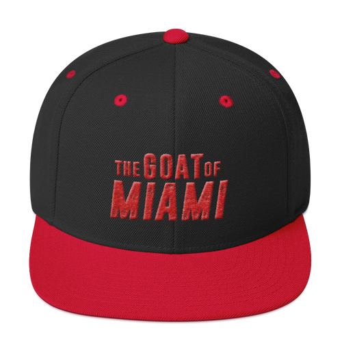 Snapback Hat